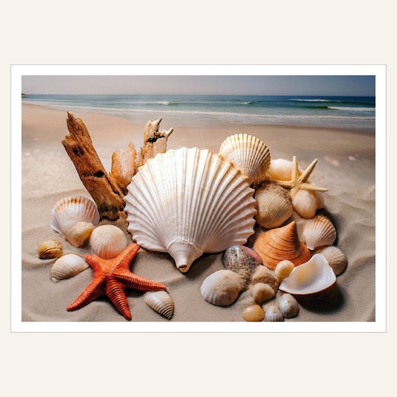 Seashell Night Light Coastal Bedroom Lamp Decoration Nautical Room Mood Lighting Ocean Nursery Beach Theme Maritime Bathroom Shell