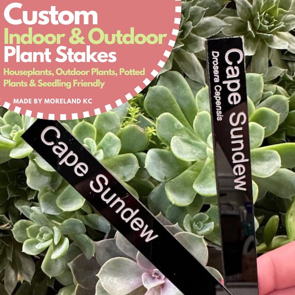 Mini Custom Plant Tags | Acrylic | Engraved Acrylic | 6" Tall | Houseplant Gift | Seedling | Herbs |  | Plant Directions | *SHIPS FREE*