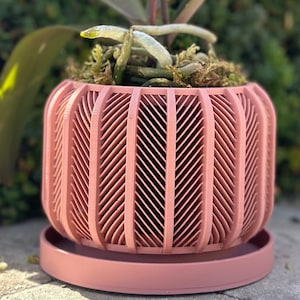 The "RODEX" 3D Printed Orchid Planter | Modern Large Planter | Aeration Succulent Cactus Monstera | 3 4" 5" 6" 7" 7.4" Indoor Pot |SHIP FREE