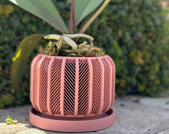 The "RODEX" Orchid Planter Pot | Modern | Large Planter | Succulent Cactus Monstera Plants | Eco-Friendly | 3" 4" 5' 6" 7" Indoor Pot,