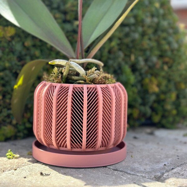 The "RODEX" Orchid Planter Pot | Modern | Large Planter | Succulent Cactus Monstera Plants | Eco-Friendly | 3" 4" 5' 6" 7" Indoor Pot,