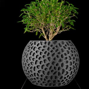 May include: A gray, spherical planter with a unique, open-hole design, holding a small, green-leafed plant. The plant has a brown trunk and branches. The planter is on a black background.