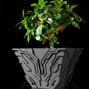 May include: A bonsai tree with vibrant green leaves sits in a gray, geometric-patterned planter. The planter has a modern, angular design. The background is solid black, highlighting the plant and pot.