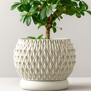 May include: A small bonsai tree with vibrant green leaves in a white, textured, geometric patterned pot. The pot sits on a matching white base, creating a modern and minimalist aesthetic. The plant's trunk is a light brown color.