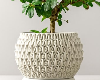 Könnte beinhalten: Ein kleiner Bonsai-Baum mit leuchtend grünen Blättern in einem weißen, strukturierten Topf mit geometrischem Muster. Der Topf steht auf einem passenden weißen Sockel und schafft eine moderne Ästhetik. Der Stamm der Pflanze ist hellbraun. Der Topf hat etwa 20 cm Durchmesser.
