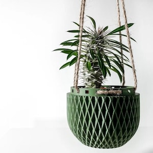 May include: A green hanging planter with a geometric diamond pattern, suspended by rope. The planter holds a spiky succulent plant with green leaves. The background is plain white.