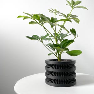 May include: A black planter with a geometric design holds a green leafy plant. The planter has a cylindrical shape with three bands of geometric cutouts.
