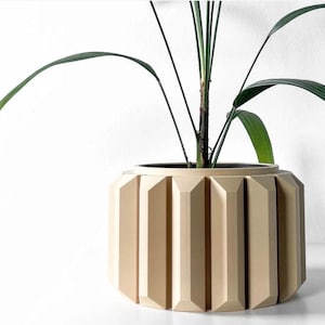 May include: A beige planter with a geometric design, featuring a tall green plant with long leaves.