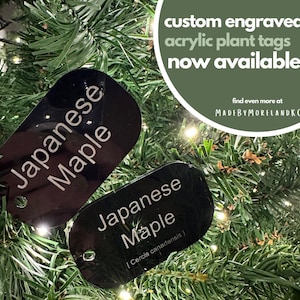 May include: Two black acrylic plant tags with white text that reads "Japanese Maple". The top tag is plain, while the bottom tag includes the scientific name "Cercis canadensis". The tags are hanging on a green artificial Christmas tree.