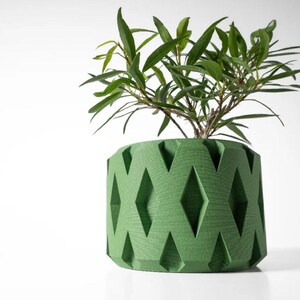 May include: A green planter with a geometric diamond pattern. The planter is filled with a green plant with long, narrow leaves.