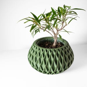 May include: A green geometric planter with a small green plant growing inside. The planter has a diamond pattern.