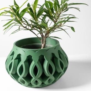 Maceta "Cylas" / Maceta moderna / Maceta grande / Plantas suculentas, cactus y monstera / Ecológica / Maceta de interior de 3", 4", 5" y 6"