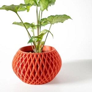 May include: A bright orange, geometric planter with a plant with green leaves. The planter has a diamond pattern.