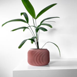 May include: A potted plant with green leaves in a pink, wavy, ceramic planter. The planter has a textured, ribbed design.
