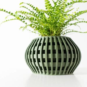 May include: A green, geometric planter with a fern plant growing inside. The planter has a unique, rounded shape with a grid pattern.