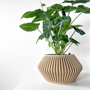 May include: A green leafy plant in a light brown, geometric, wooden planter. The planter has a unique, ribbed design.