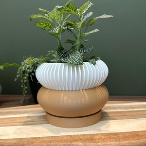 Two Tone "Elomi" Planter Modern Plant Pot | Succulent House Plant | Home Office Decor | 3D | Gift | Eco-Friendly|3" 4" 5' 6" Indoor Pot afbeelding 3