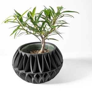 May include: A black geometric planter with a small green plant growing inside. The planter has a unique design with a series of overlapping triangles.