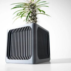 May include: A gray, cube-shaped planter with a geometric pattern on the front and sides. A small, spiky green plant is growing inside the planter.