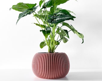 The "Surno " Planter | NEW Sizes & Colors Available | Modern 3D Made Planter | Custom Planter | Succulent Cactus Monstera | 3",4,5,6,7,8,9"