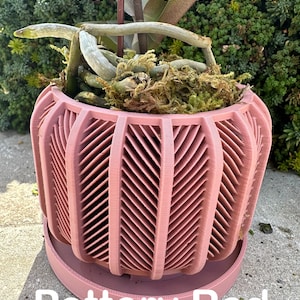 May include: A terracotta-colored ceramic planter with a geometric pattern. The planter has a wide base and a narrow top, with a lip around the top edge. The planter is filled with moss and has an orchid plant growing out of it. The text "New Color" and "Pottery Red" is visible in the image.