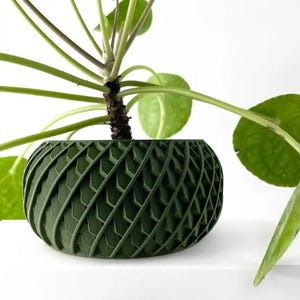 May include: A green, geometric patterned planter with a leafy green plant growing out of it.