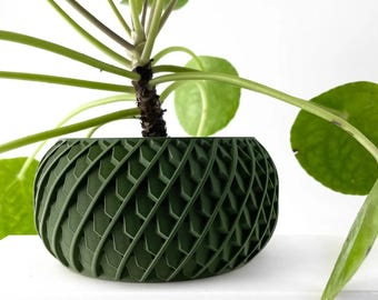 May include: A green, geometric patterned planter with a leafy green plant growing out of it.