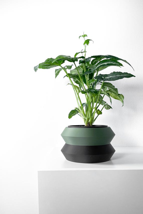 philodendron rio cream splash Philodendron 'Cream Splash' – VI Plant Shop main image 0