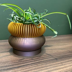 Two Tone "Elomi" Planter Modern Plant Pot | Succulent House Plant | Home Office Decor | 3D | Gift | Eco-Friendly|3" 4" 5' 6" Indoor Pot afbeelding 4