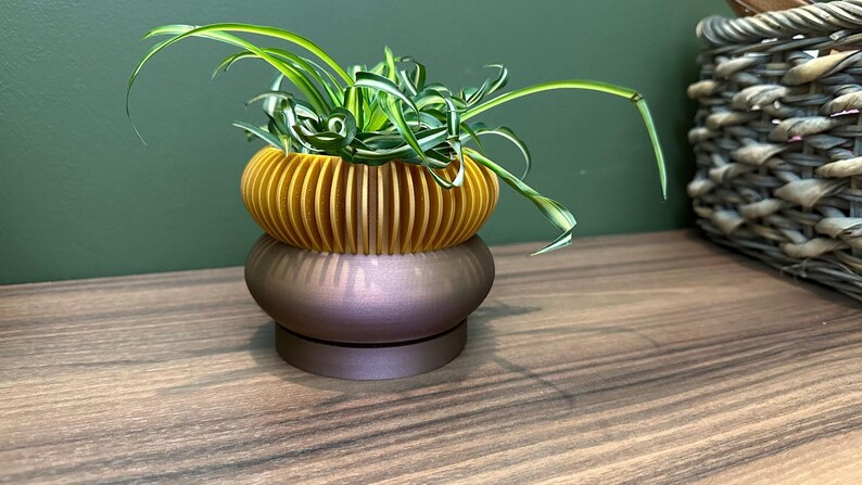 Two Tone "Elomi" Planter Modern Plant Pot | Succulent House Plant | Home Office Decor | 3D | Gift | Eco-Friendly|3" 4" 5' 6" Indoor Pot afbeelding 4
