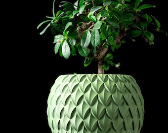 May include: A small bonsai tree with vibrant green leaves sits in a light green, textured, spherical planter. The planter has a repeating geometric pattern. The background is solid black, highlighting the plant and pot.