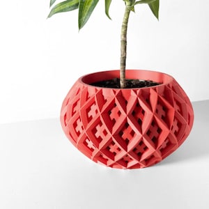 May include: A red geometric planter with a plant growing out of it. The planter has a unique design with a repeating pattern of squares and diamonds.