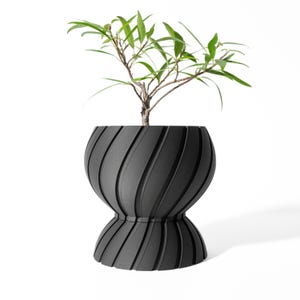 May include: A black, swirl-patterned planter with a small green plant growing inside. The planter has a wide base and a narrow top, creating a unique hourglass shape.