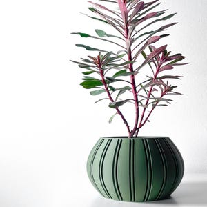 Ovire 3D Printed Planter | Horizontal Geometric Decorative Indoor Pot 3" - 8" Opening | Custom Color Size | Succulent Cactus Tropical Plant