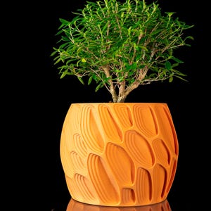 May include: An orange, textured, 3D-printed planter with a green leafy plant. The planter has an organic, layered design. The plant has a small trunk and many green leaves. The background is black.