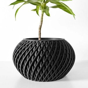 May include: A black planter with a unique, geometric, woven design. The planter is round and has a wide opening. A green plant is growing in the planter.