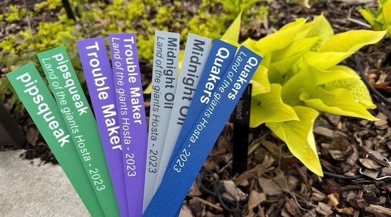 Interface de Stake9 montrant des jeux et des bonus