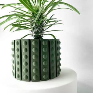 May include: A green planter with a unique design featuring vertical ridges and circular indentations. A green succulent plant is growing in the planter.