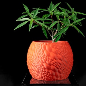 May include: A vibrant orange, textured, spherical planter with a green leafy plant. The planter has a unique, repeating pattern across its surface. The plant has long, slender green leaves and a thin, brown stem. The background is solid black.