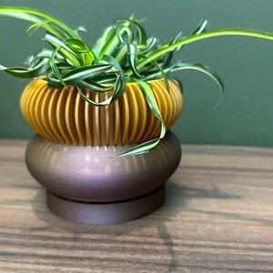 Two Tone "Elomi" Planter Modern Plant Pot | Succulent House Plant | Home Office Decor | 3D | Gift | Eco-Friendly|3" 4" 5' 6" Indoor Pot afbeelding 5