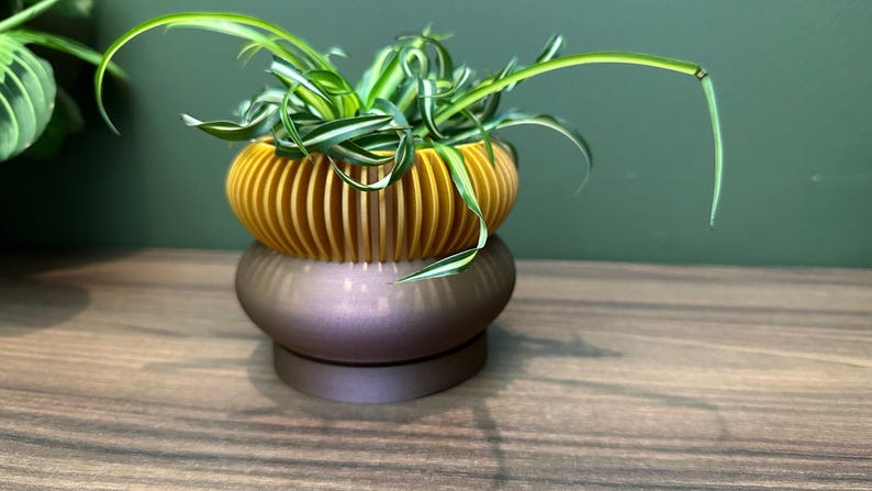 Two Tone "Elomi" Planter Modern Plant Pot | Succulent House Plant | Home Office Decor | 3D | Gift | Eco-Friendly|3" 4" 5' 6" Indoor Pot afbeelding 5