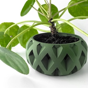 May include: A green geometric planter with a plant growing out of it. The planter has a diamond pattern and is made of a textured material.