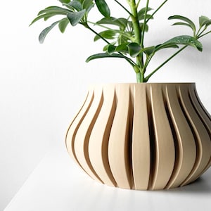 May include: A light brown, ribbed, ceramic planter with a plant growing out of it. The plant has green leaves and a brown stem.