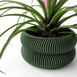 May include: A green, textured, double-tiered planter with a green plant growing inside. The plant has long, thin leaves and a pink flower.