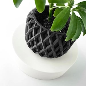 May include: A black geometric planter with a plant inside, sitting on a white round pedestal.