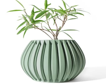 May include: A sage green, ribbed planter pot with a small plant. The pot has a rounded shape with vertical grooves. The plant has long, thin green leaves and a brown stem. The background is white.