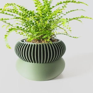 May include: A green ceramic planter with a ribbed design and a rounded bottom. A green fern plant is growing in the planter.