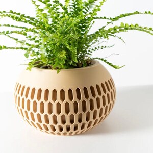 May include: A light brown ceramic planter with a hexagonal pattern. The planter is filled with a green fern plant.