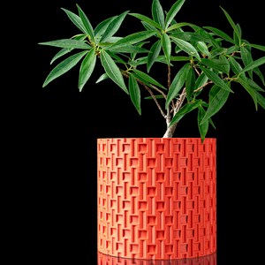 May include: A vibrant orange cylindrical planter with a textured geometric pattern. The planter holds a small green plant with long, slender leaves. The background is solid black, highlighting the plant and planter.