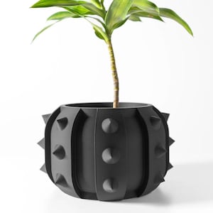 May include: A black planter with a spiky, geometric design. The planter is filled with a green plant with long, narrow leaves.